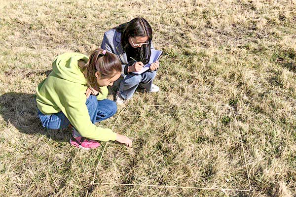 班玛县气象局积极开展春季牧草返青监测工作